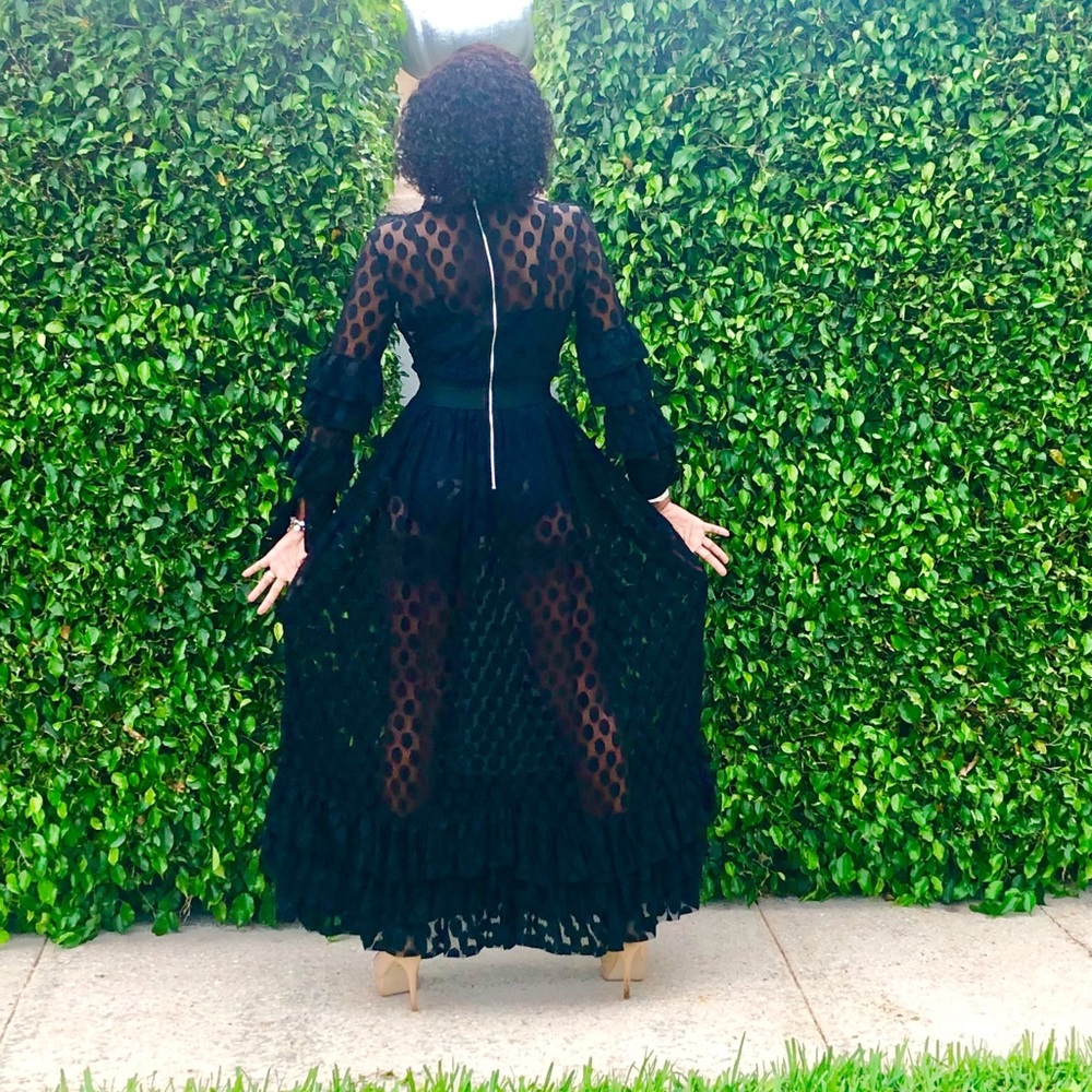 See Me Sheer/Lace Maxi Dress - Picture 6 of 7